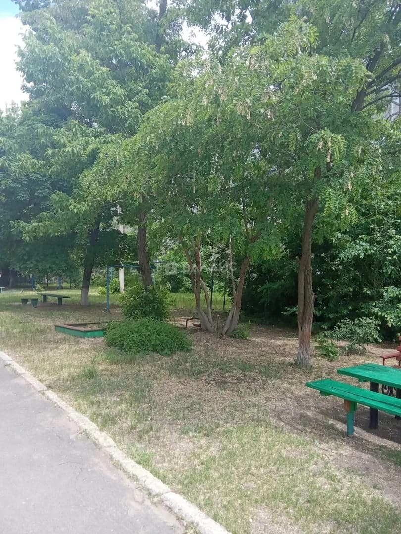 Photo 48