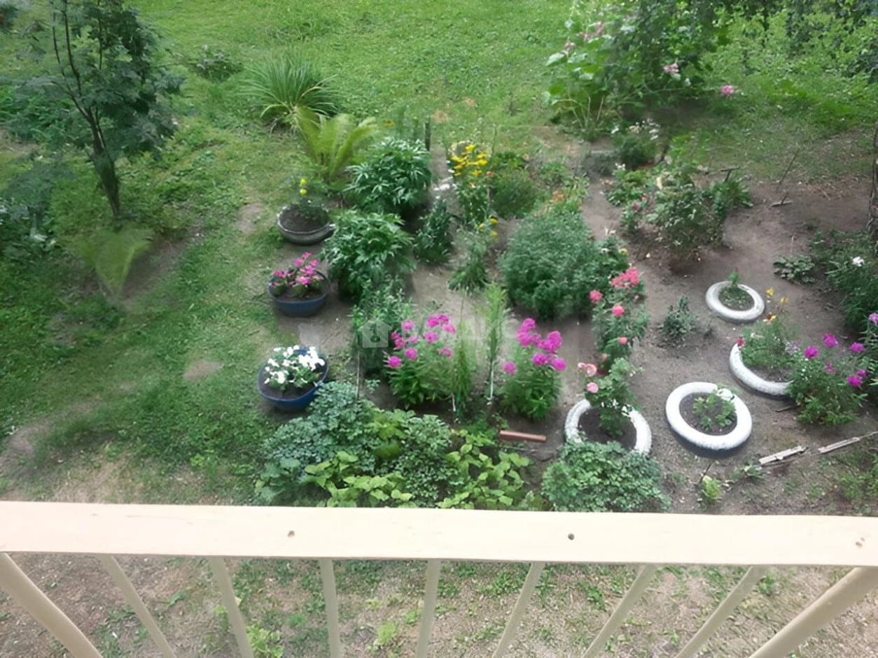 Photo 5