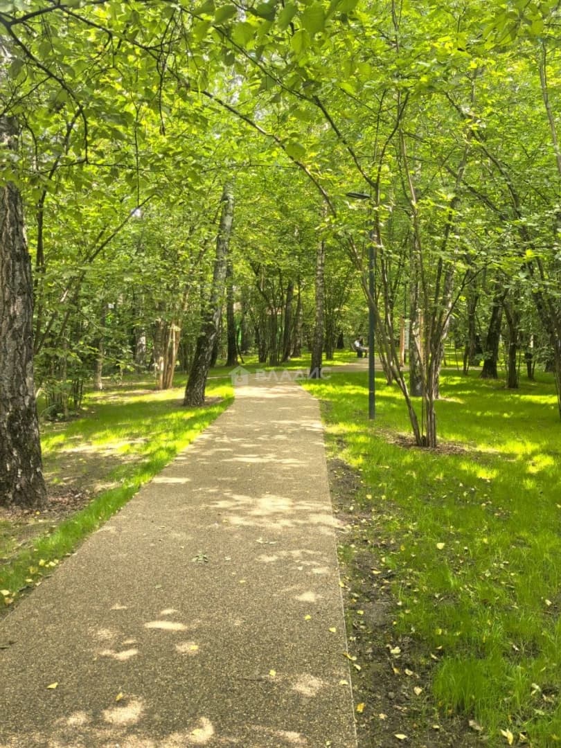 Photo 31