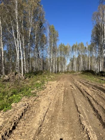 Купить земельный участок в Тобольске. Вариант № 1602786, 0, площадь - квм, цена 1700000 рублей