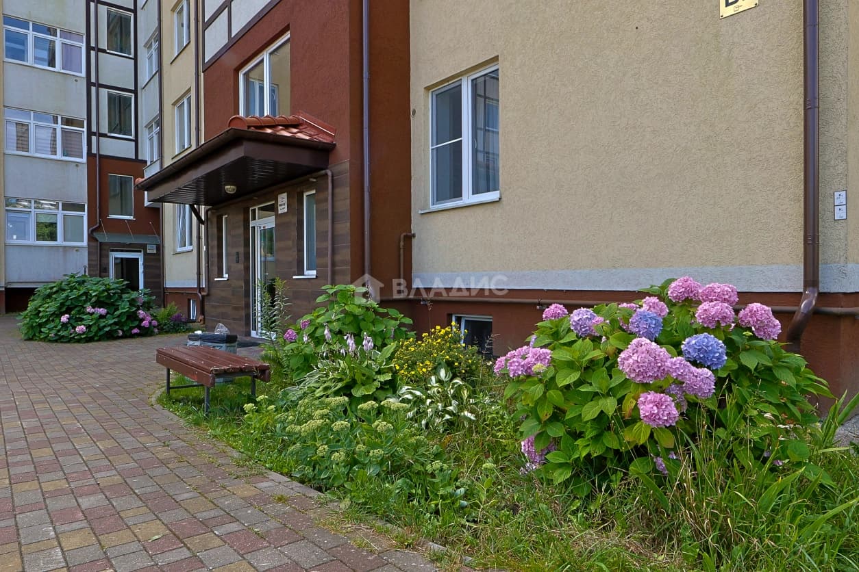 Photo 31