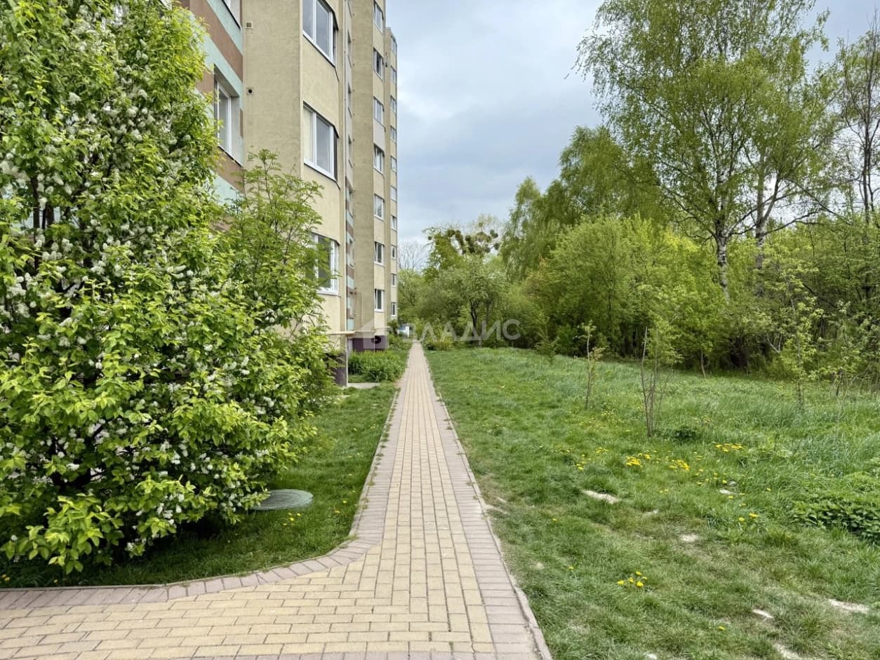 Photo 25