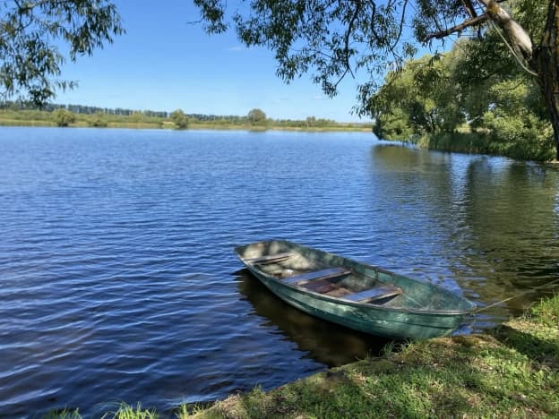 Купить земельный участок в селе Лебедёвка в Пензенском районе на улице Родниковая , село Лебедёвка в Пензенской области. Вариант № 2325297, 0, площадь - квм, цена 5500000 рублей