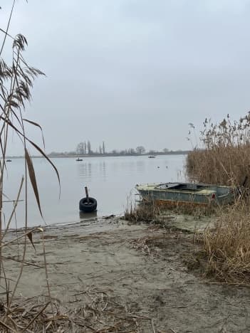Купить земельный участок в Ростовской области. Вариант № 2167318, 0, площадь - квм, цена 5000000 рублей