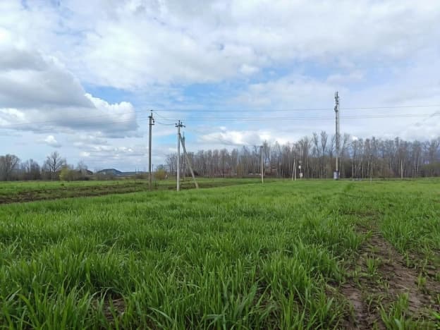 Купить земельный участок в селе Старолетово в Рыбновском районе в Рязанской области. Вариант № 2133959, 0, площадь - квм, цена 700000 рублей