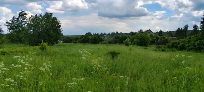 Купить земельный участок в Деревне Панине в Муниципальном Округе Егорьевске в Московской области. Вариант № 2220874, 1, площадь - квм, цена 980000 рублей