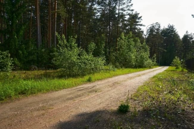 Купить земельный участок в Деревне Озерёве в Бокситогорском районе в Ленинградской области. Вариант № 2289436, 0, площадь - квм, цена 36000000 рублей