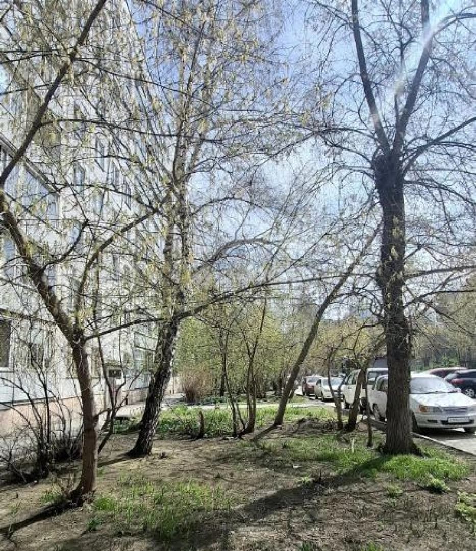 Photo 4