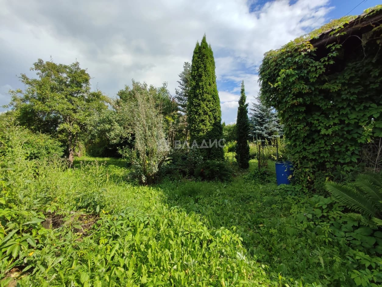 Photo 31
