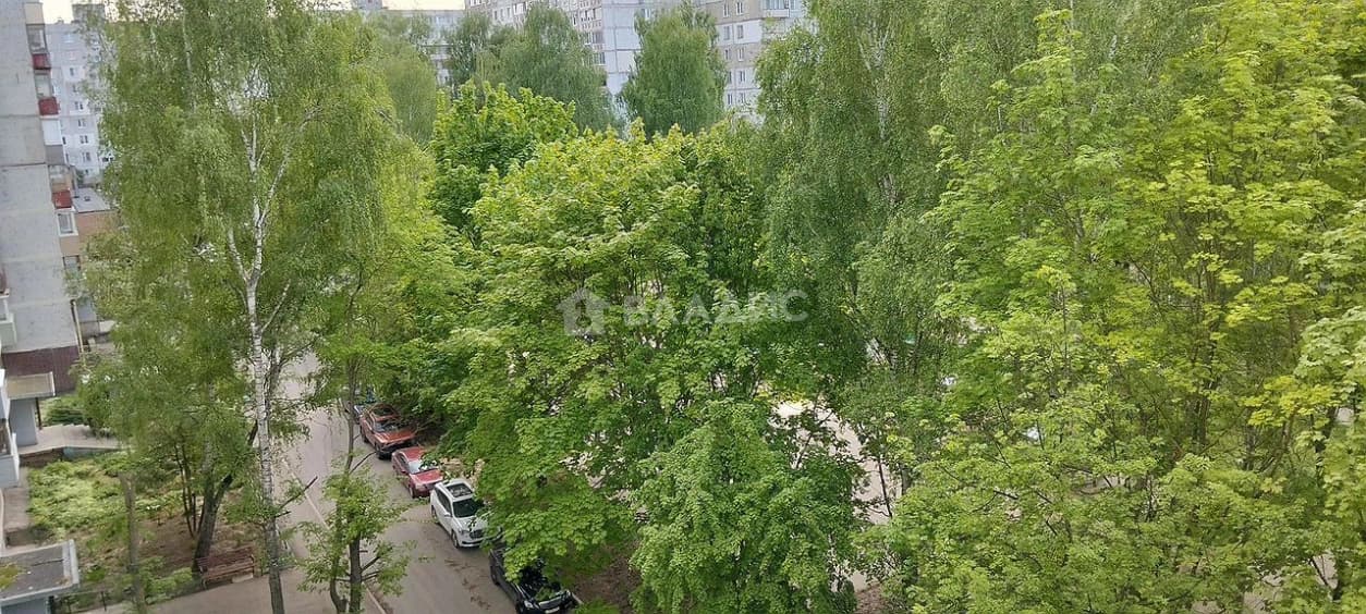 Photo 39