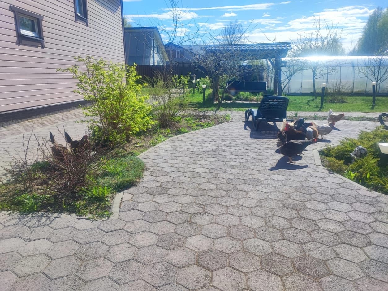 Photo 26