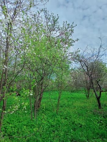 Купить земельный участок на улице Журавлиха в Владимире. Вариант № 2169092, 0, площадь - квм, цена 1300000 рублей