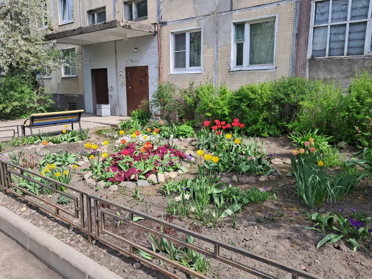Photo 28