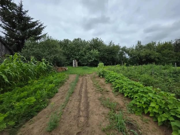 Купить дом в Благовещенском районе в Амурской области. Вариант № 2275511, 1, площадь - квм, цена 1400000 рублей