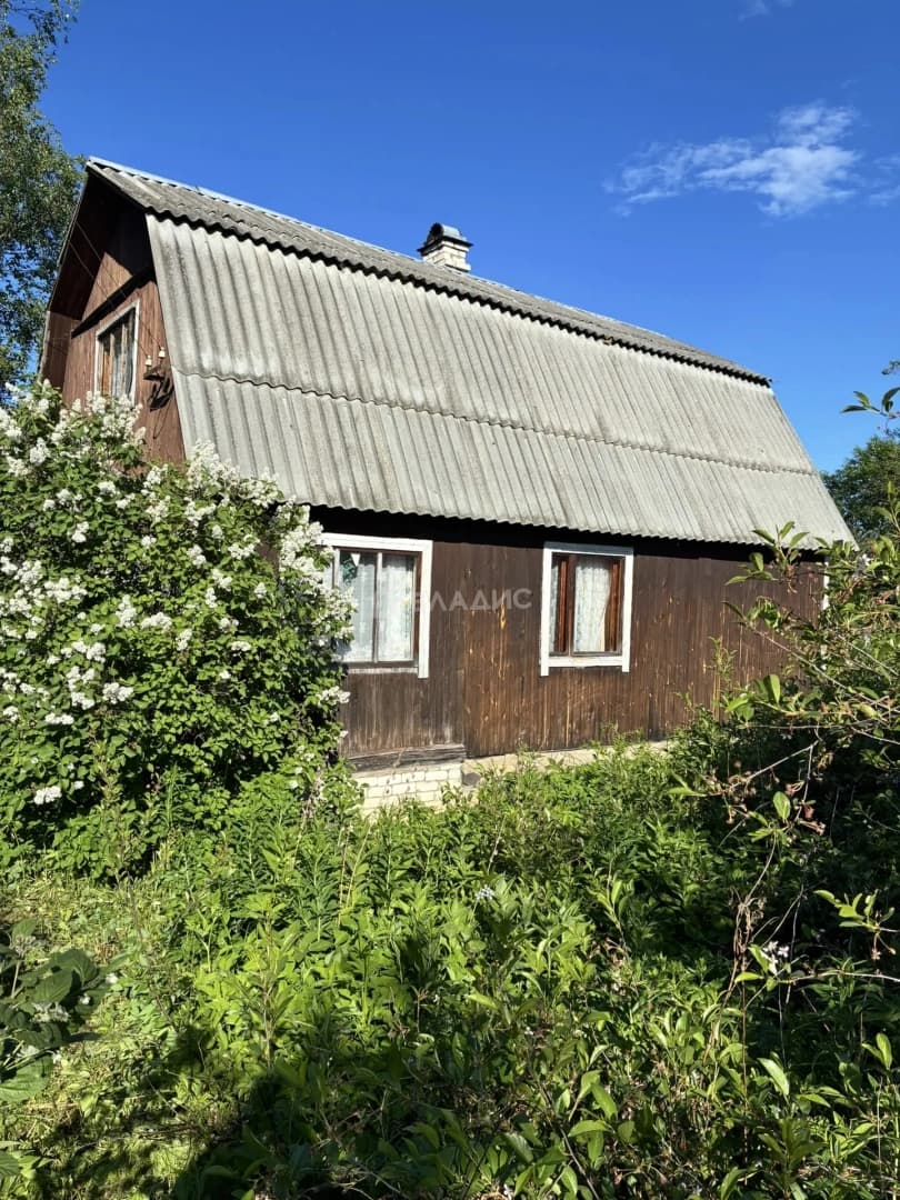 Photo 25
