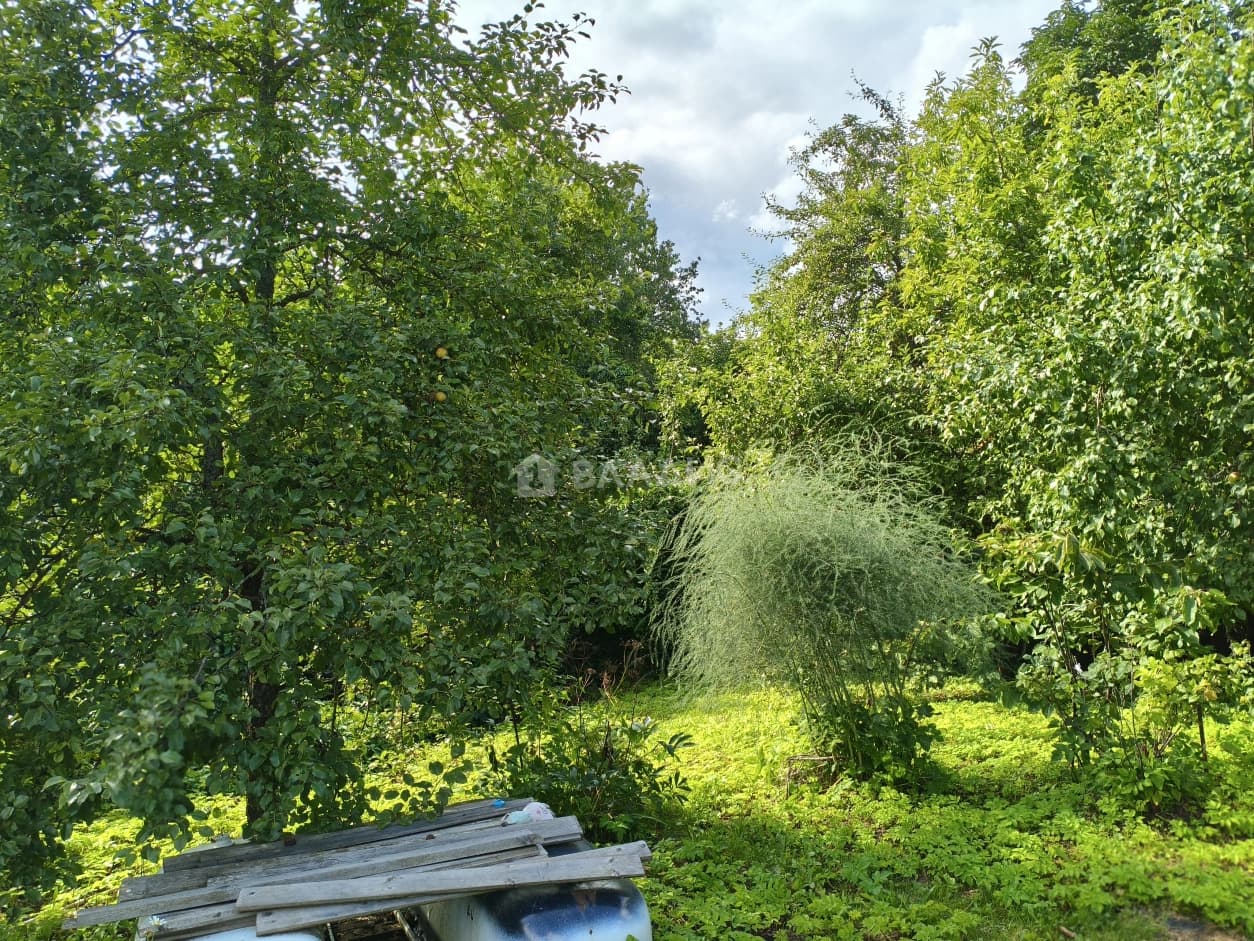 Photo 33
