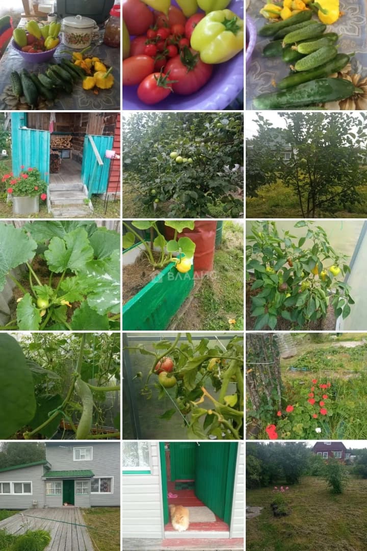 Photo 22