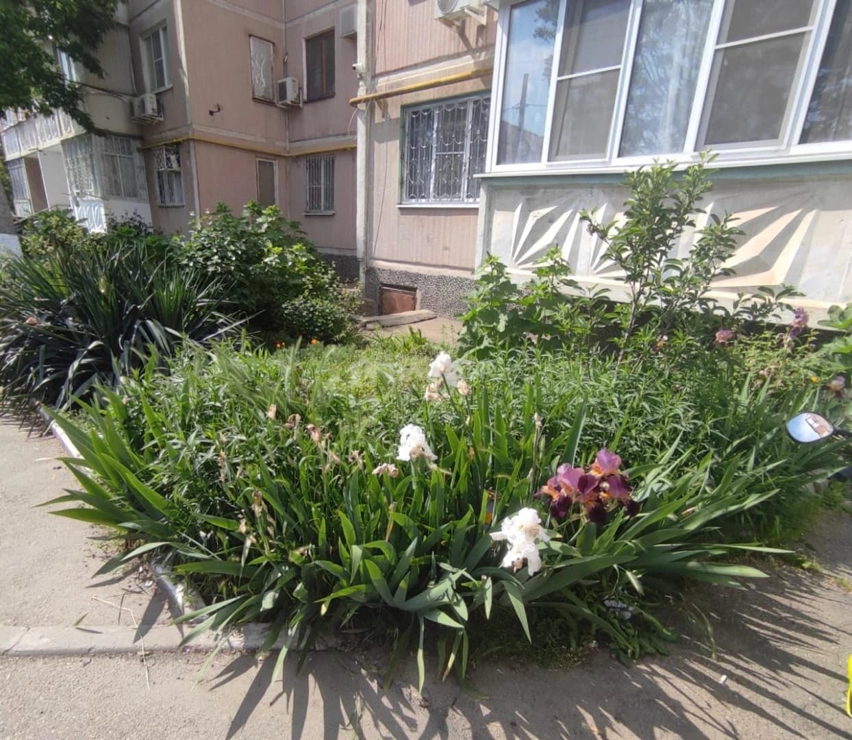 Photo 20