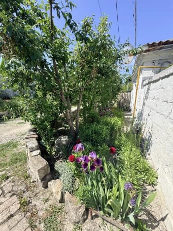 Купить дом в Посёлоке Айкаване в Симферопольском районе в Республике Крым. Вариант № 2083531, 1, площадь - квм, цена 5350000 рублей