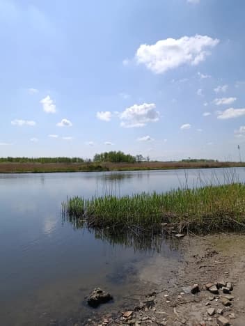 Купить земельный участок на улице Юрия Гагарина в Калининграде. Вариант № 2182571, 1, площадь - квм, цена 4800000 рублей
