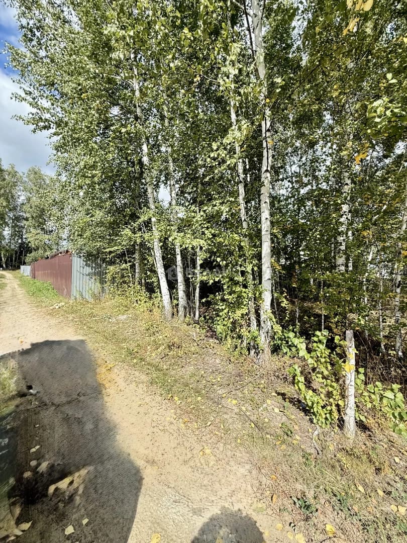 Photo 8