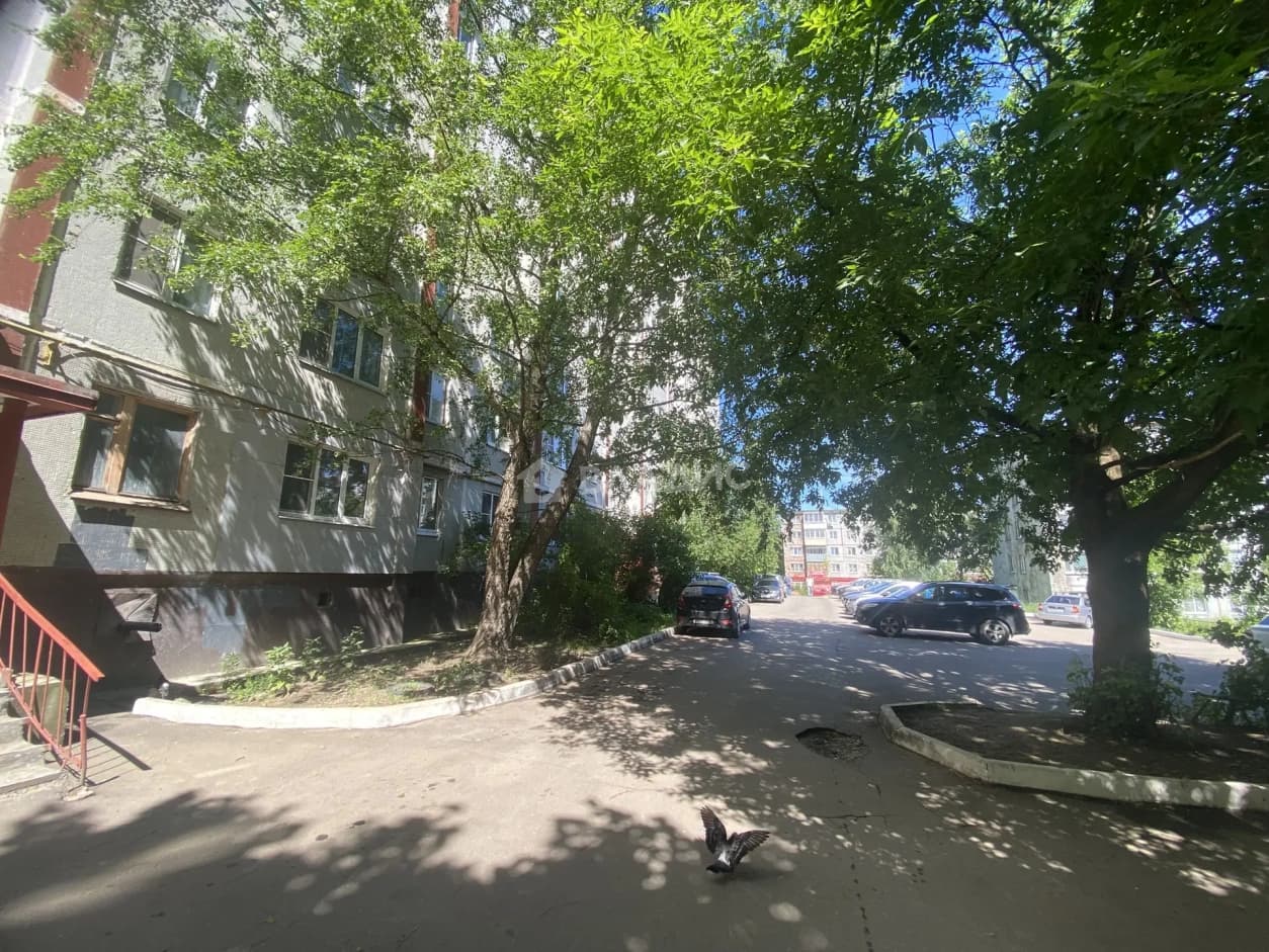 Photo 10