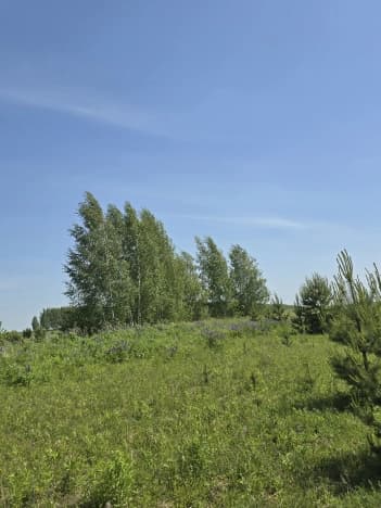 Купить земельный участок в селе Трудовое в Дивеевском Муниципальном Округе в Нижегородской области. Вариант № 2208624, 1, площадь - квм, цена 20000000 рублей