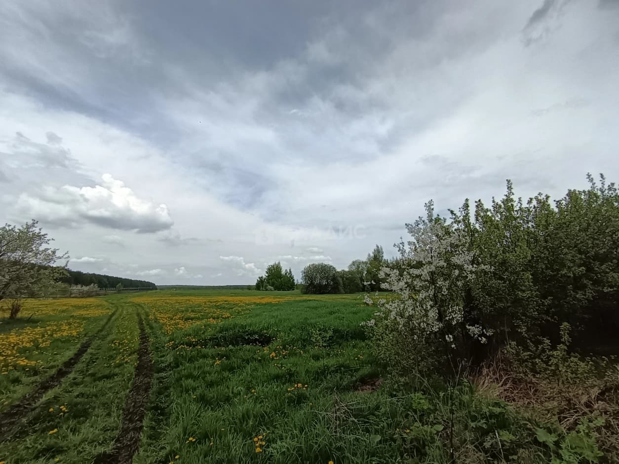 Photo 24