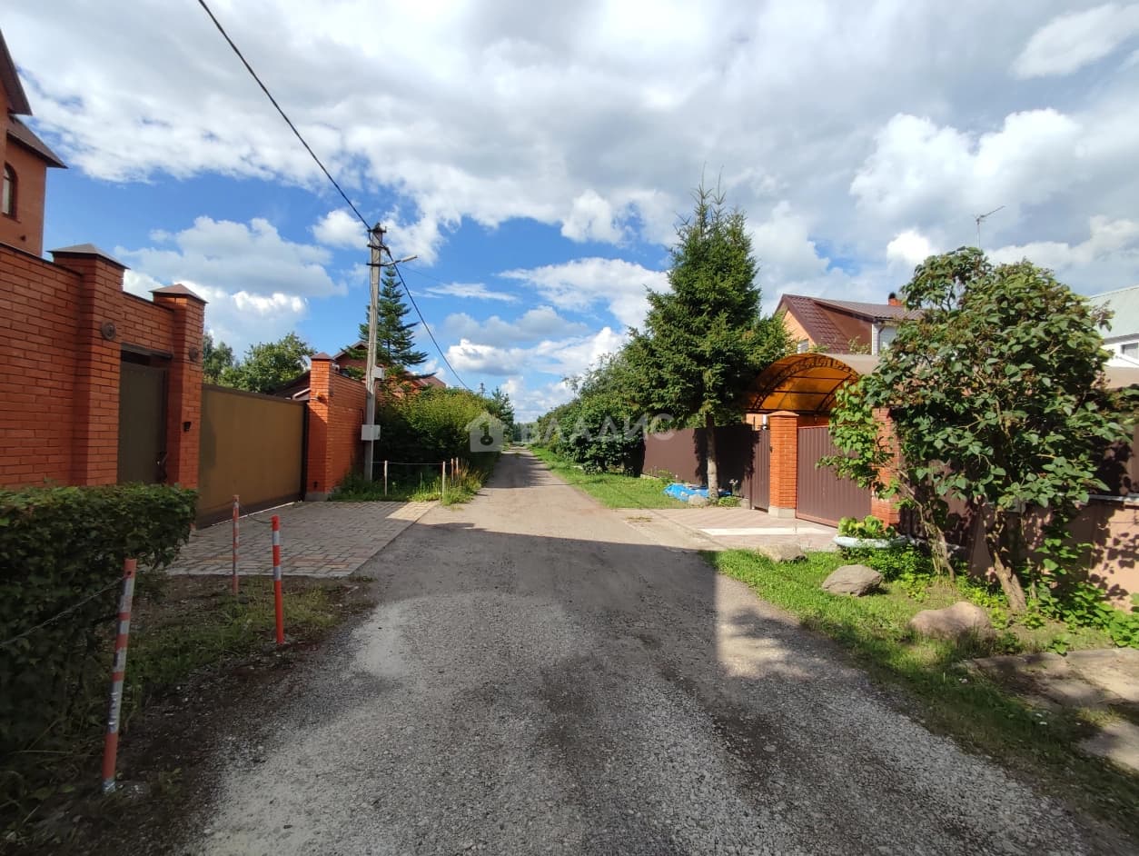 Photo 41
