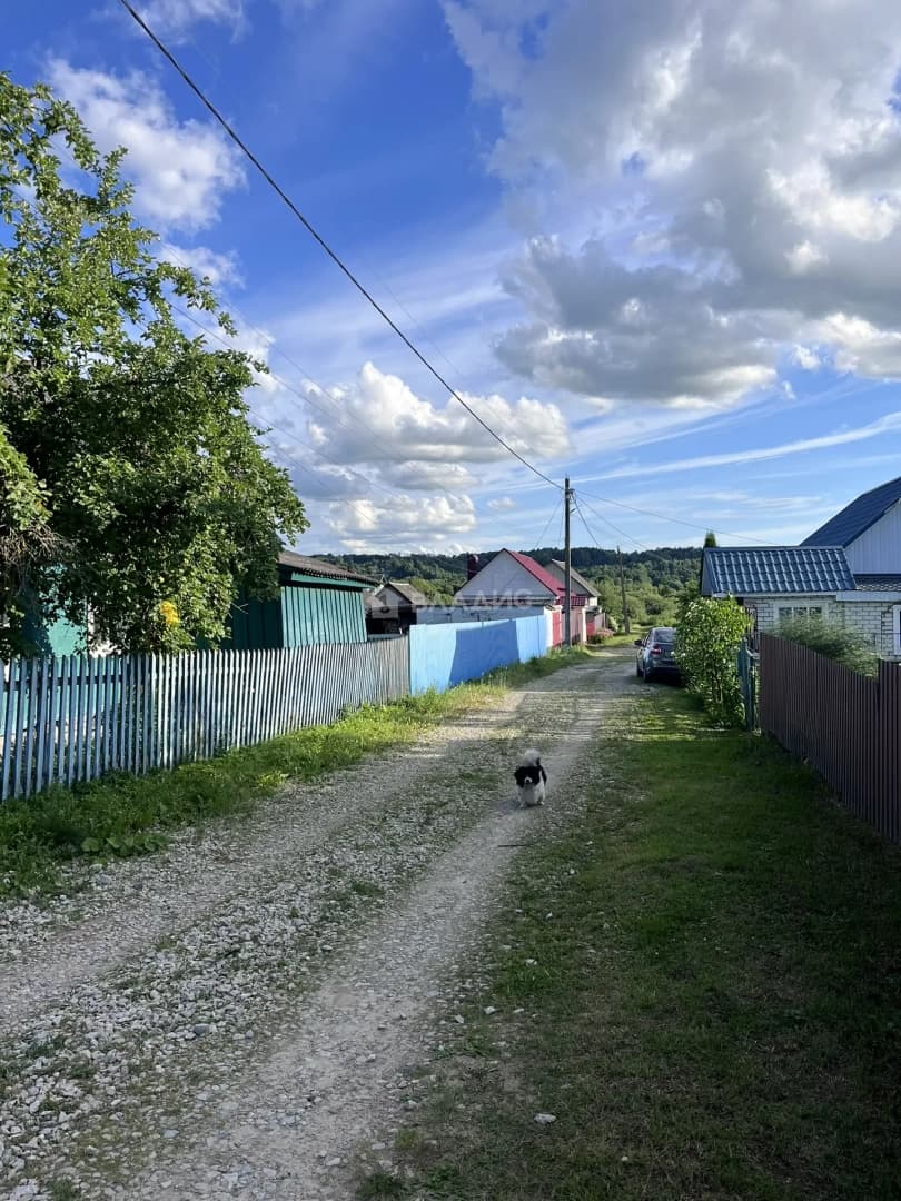Photo 42