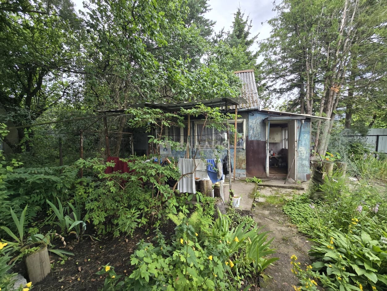 Photo 16