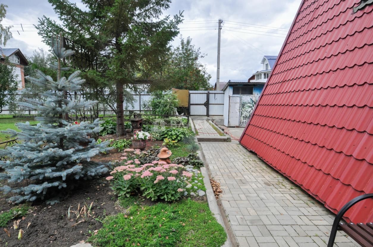 Photo 42