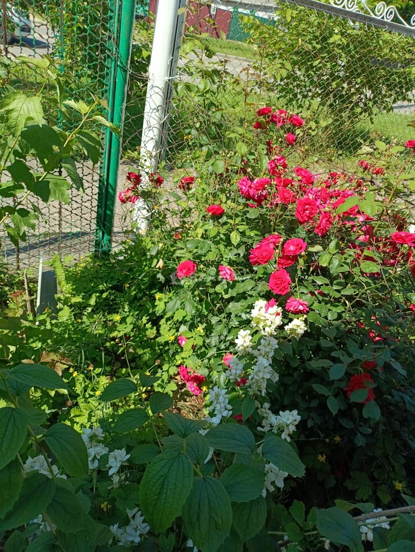 Photo 22