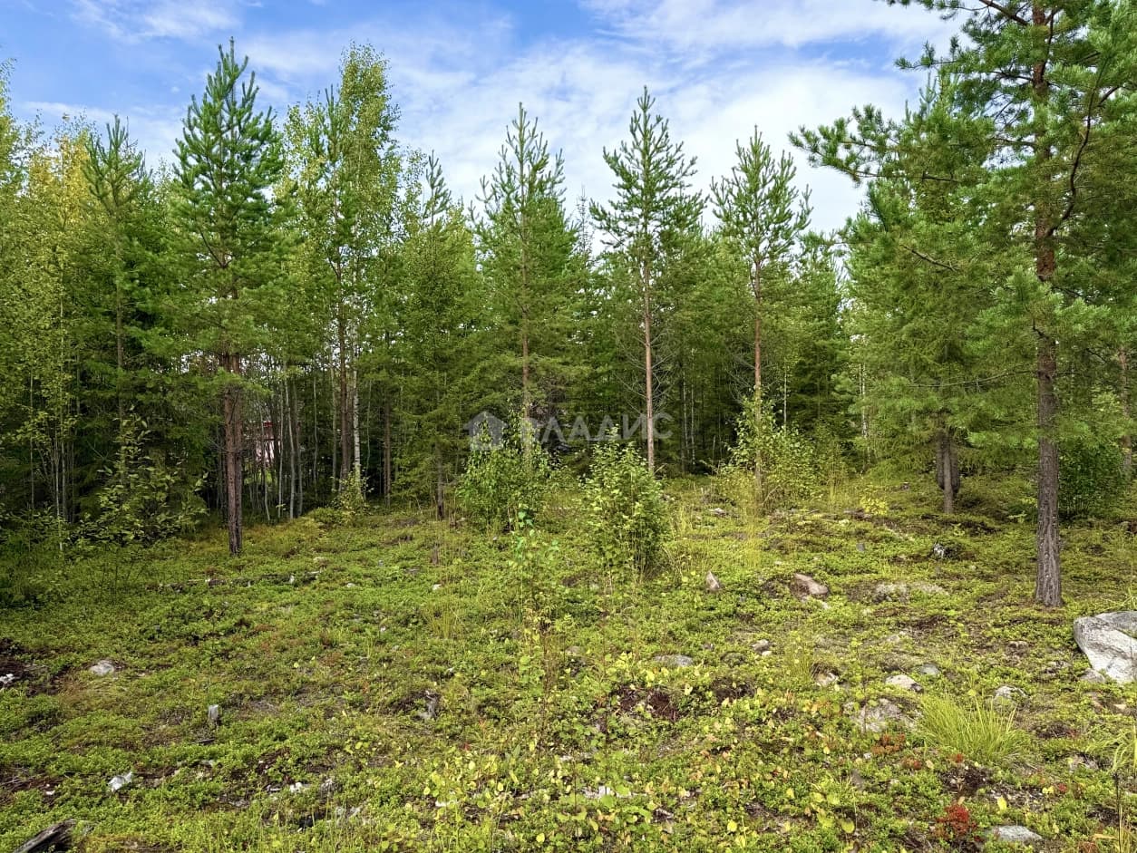 Photo 30