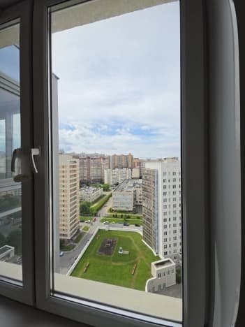 Купить двухкомнатную квартиру на улице 1-й Рабфаковский переулок в Санкт-Петербурге. Вариант № 2268648, 1, площадь - квм, цена 19490000 рублей