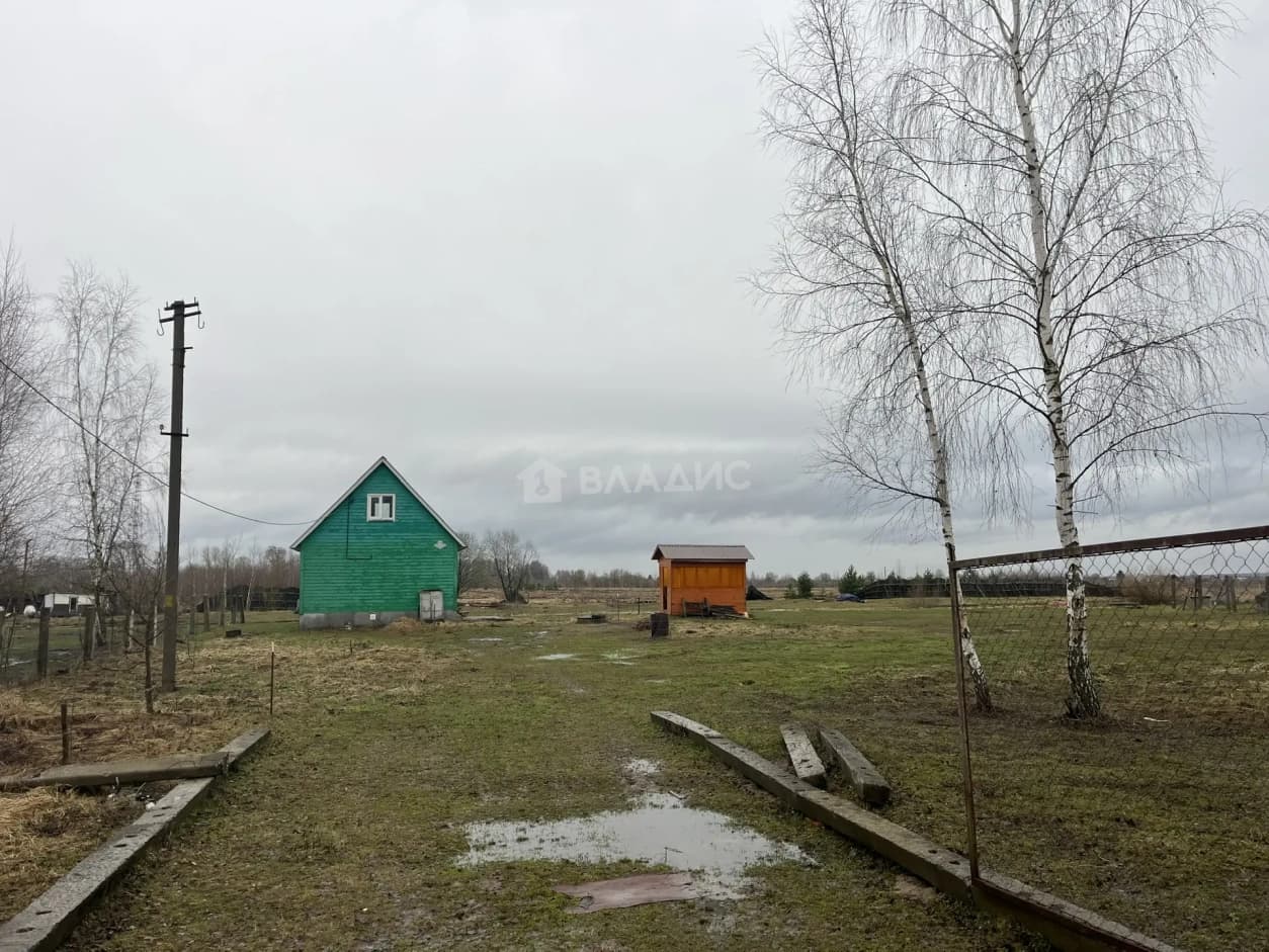 Photo 29