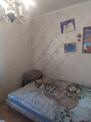Купить квартиру в Деревне Невском Парклесхозе в Всеволожском районе в Ленинградской области. Вариант № 2380794, 0, площадь - квм, цена 6650000 рублей