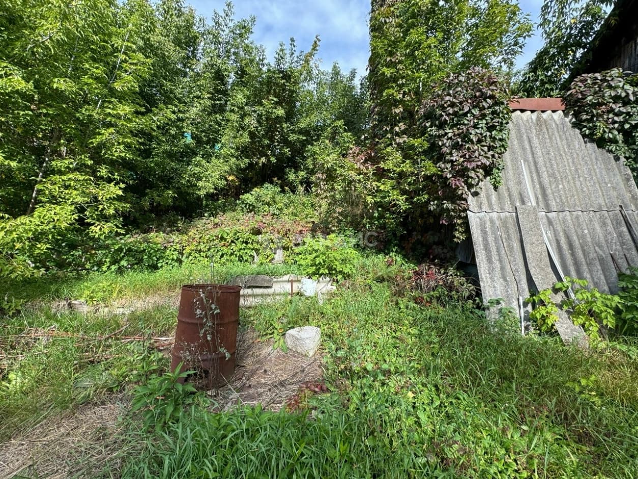 Photo 21