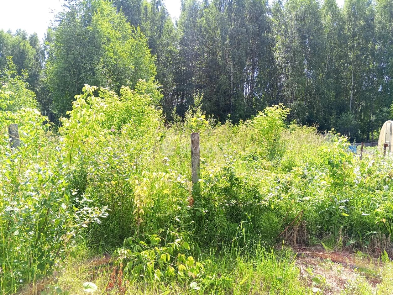 Photo 31