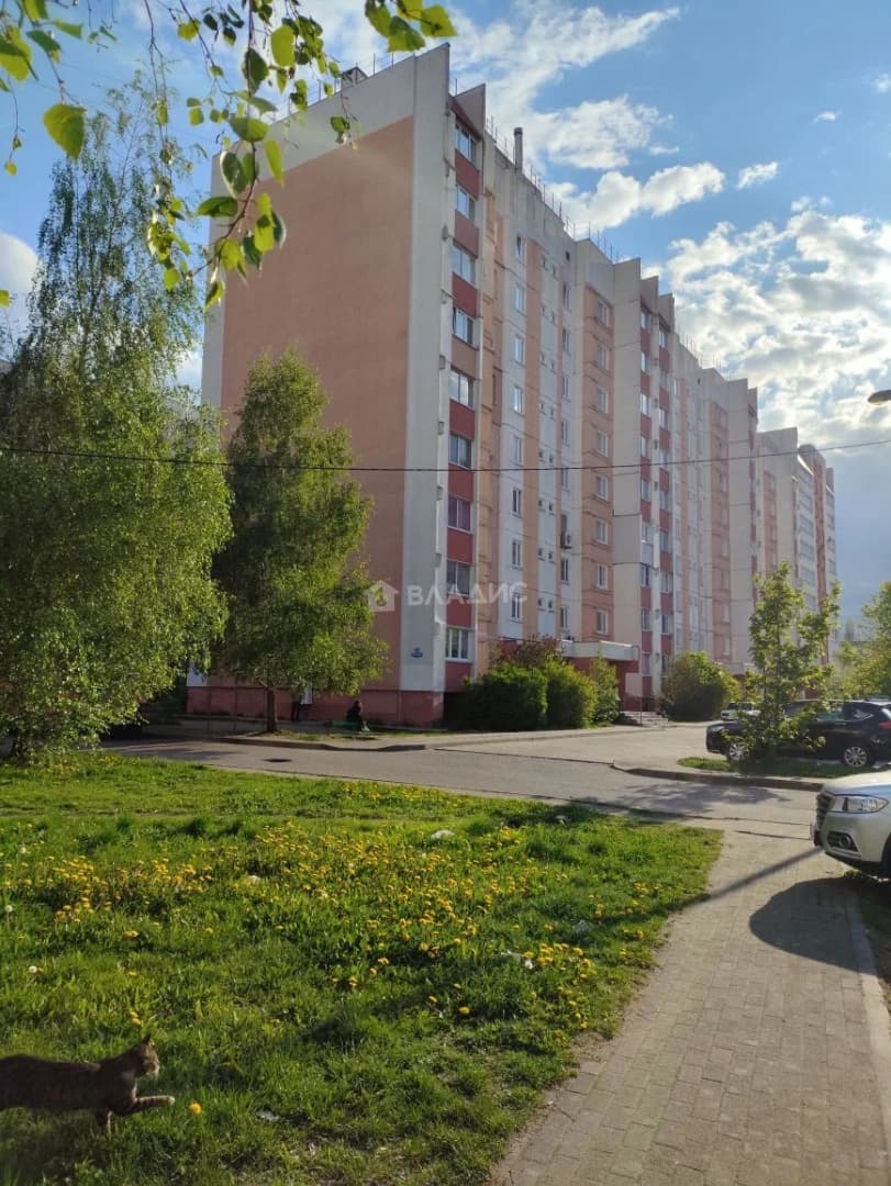 Photo 23
