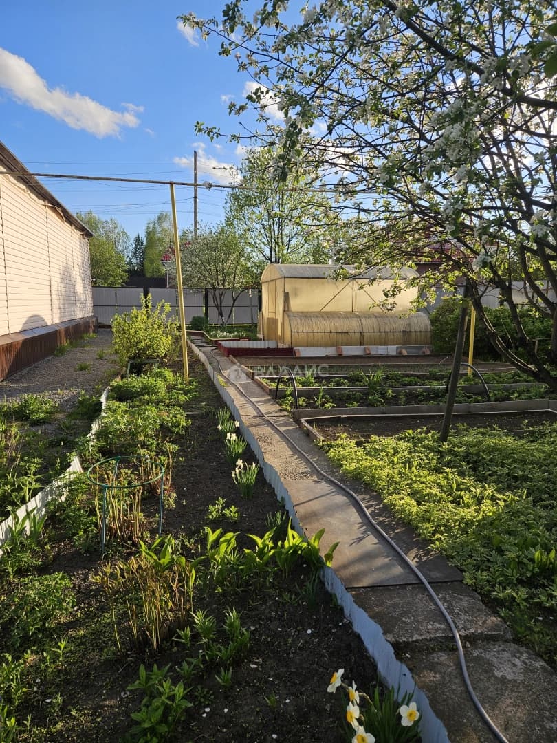 Photo 37
