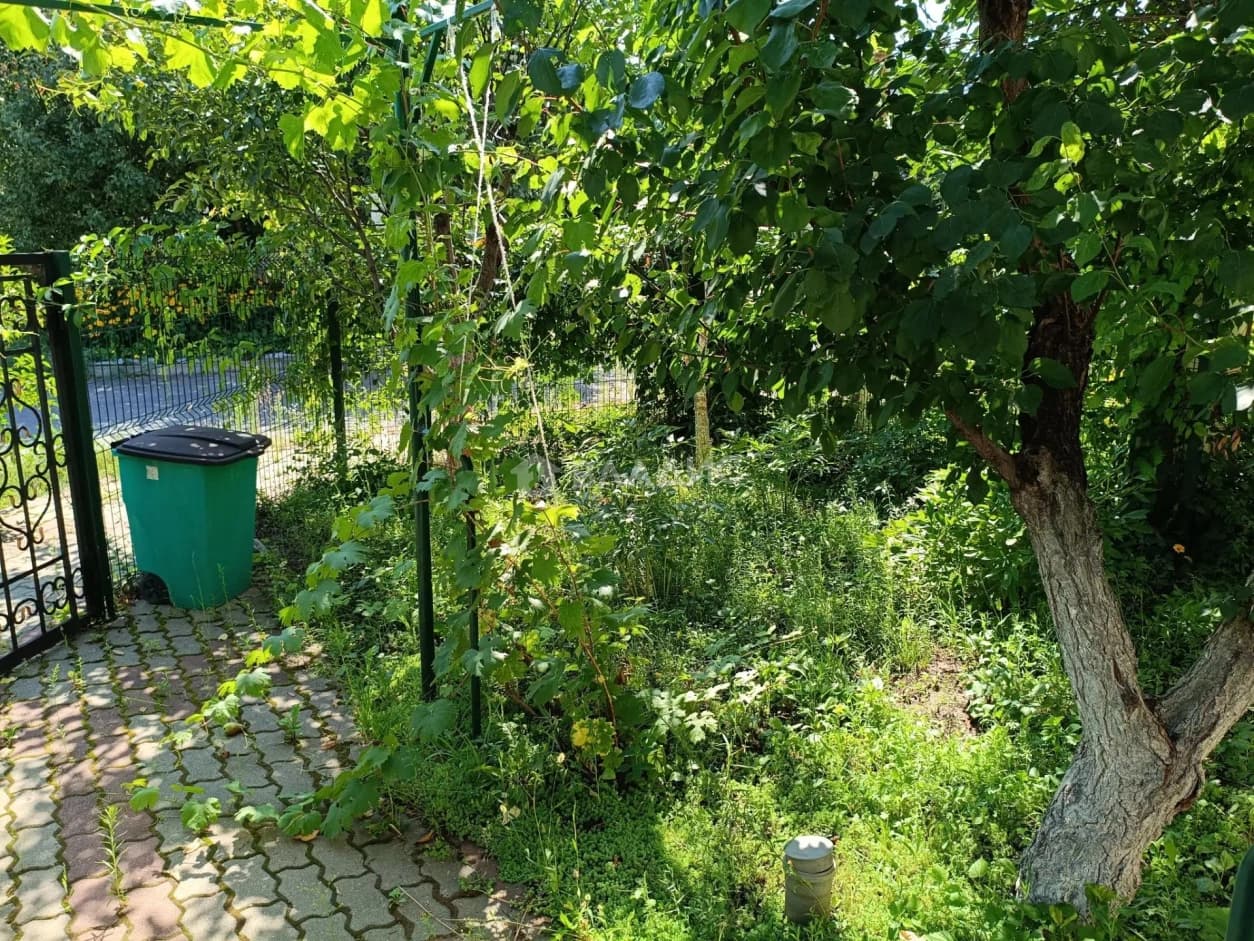 Photo 42