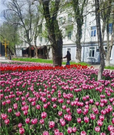 Купить квартиру до 5 млн в Элисте. Вариант № 2201427, 0, площадь - квм, цена 5000000 рублей