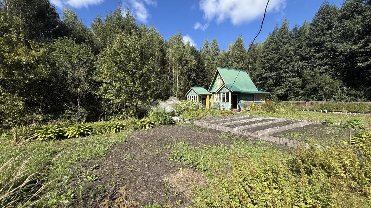 Photo 6