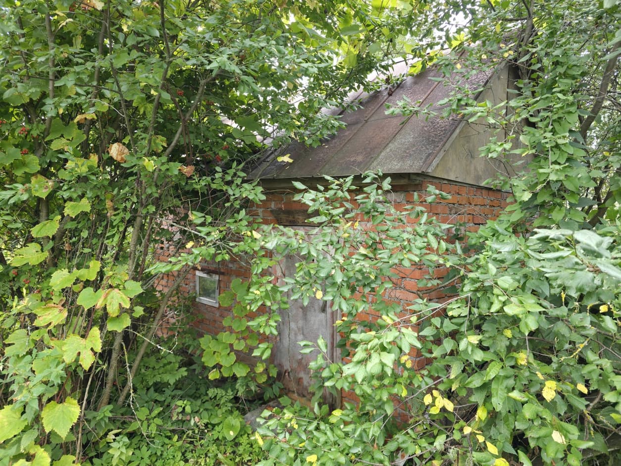 Photo 14