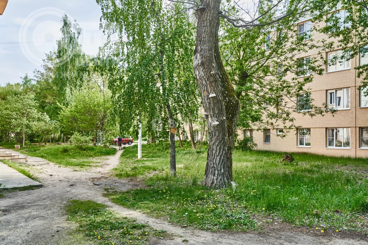 Photo 30