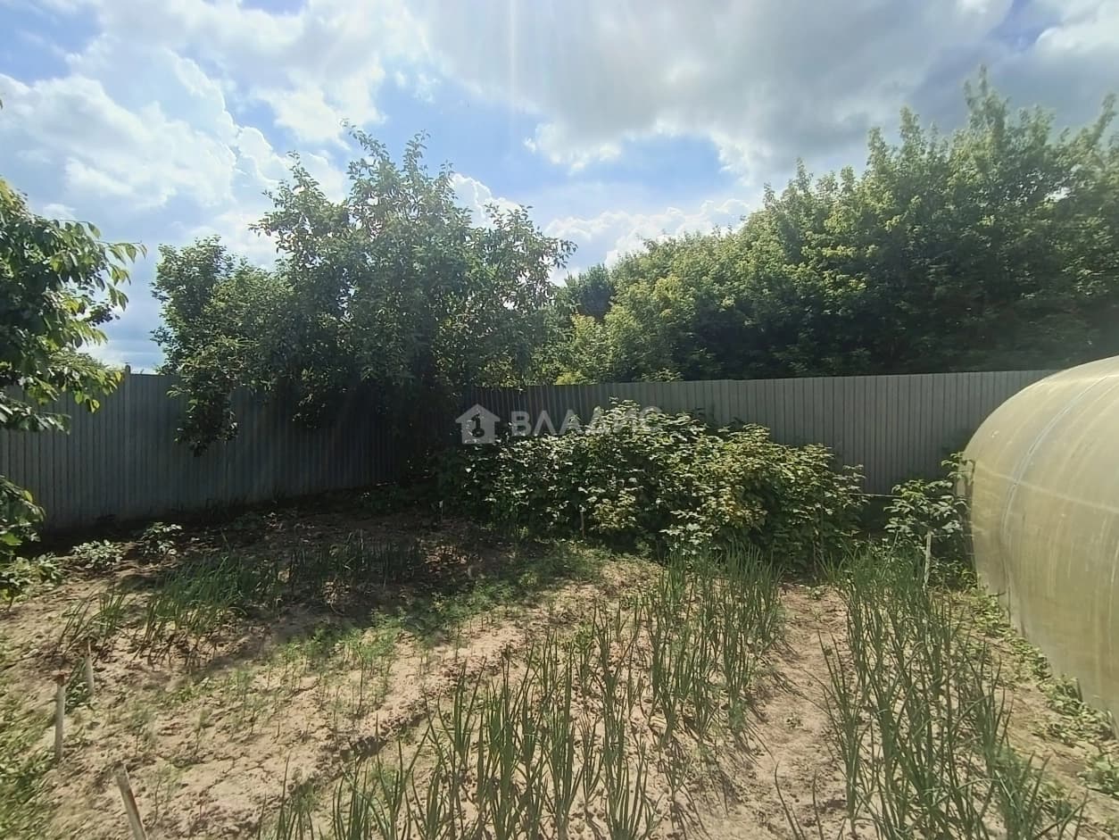Photo 31