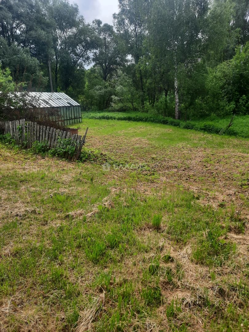 Photo 40