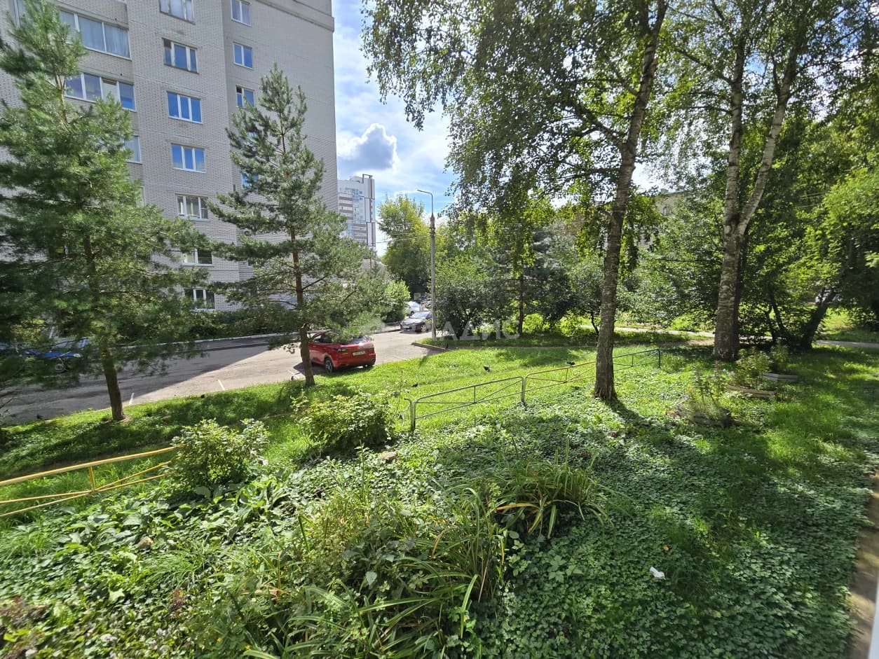 Photo 20
