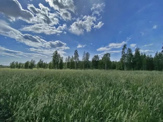 Купить земельный участок в Приозерском районе в Ленинградской области. Вариант № 2250971, 1, площадь - квм, цена 4351500 рублей